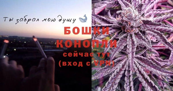 индика Михайловск