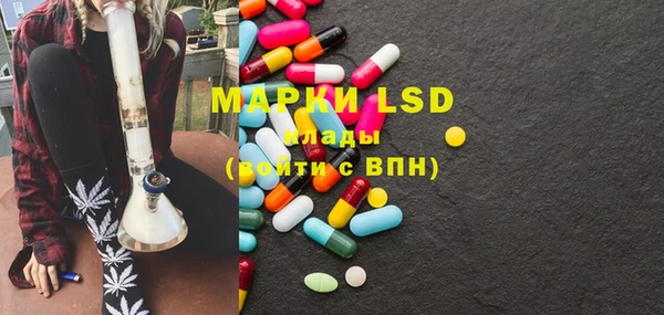 индика Михайловск
