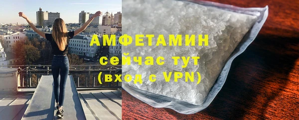 индика Михайловск