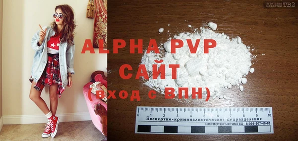 индика Михайловск
