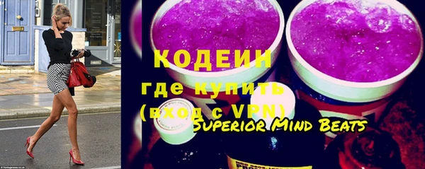 индика Михайловск