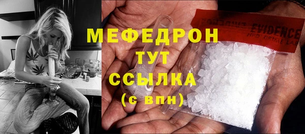 индика Михайловск