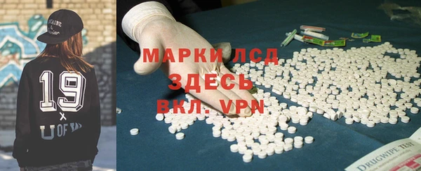 индика Михайловск