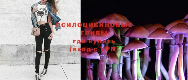 индика Михайловск