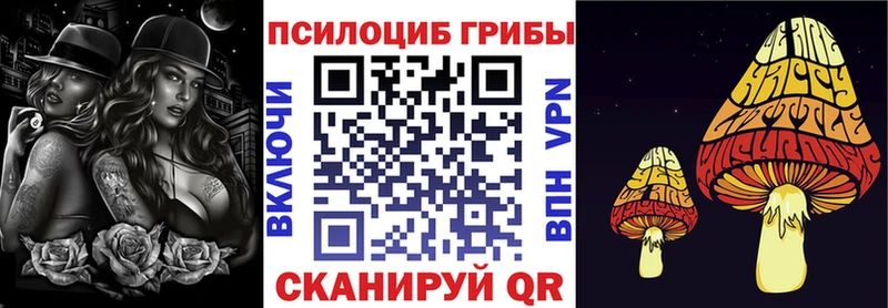 Купить закладки  Кызыл  Псилоцибиновые грибы Magic Shrooms 